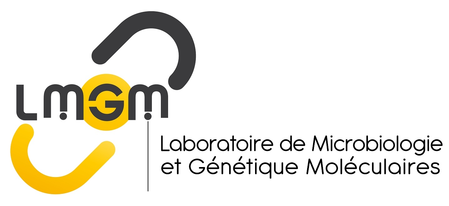 logo_LMGM
