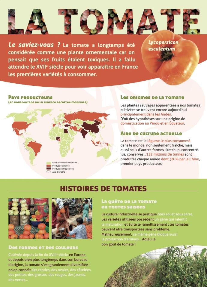 Des plantes et des hommes La tomate IRD