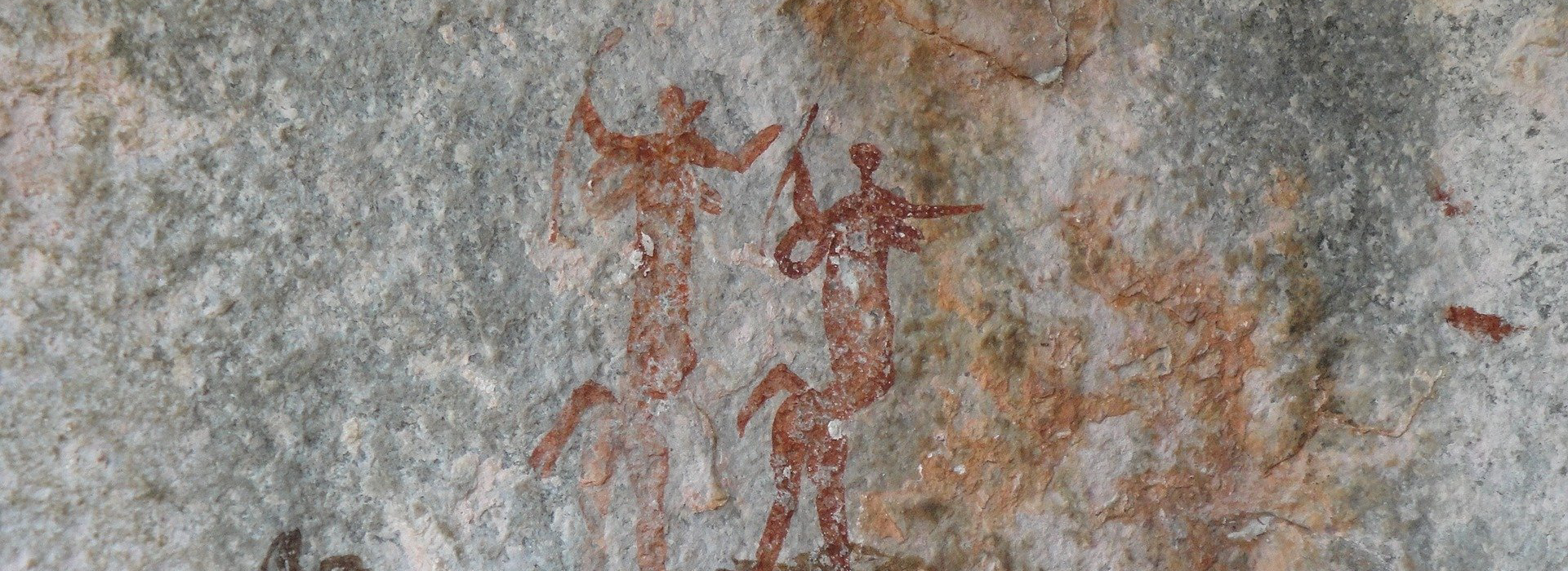 Pariétal