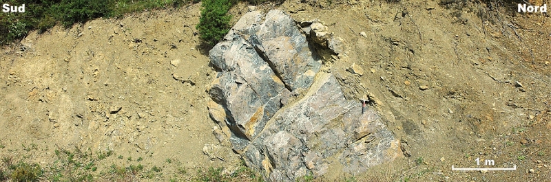 Block de récif carbonaté (formé sous faible tranche d’eau) ayant glissé pour être incorporé à des sédiments marins profonds lors de la compression varisque dirigée vers le nord