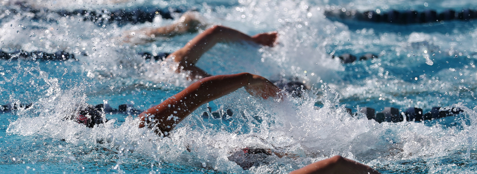 Photo natation