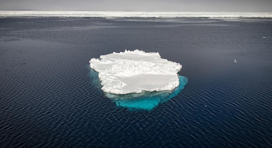 Immersion scientifique dans l’océan austral : un photographe sur la banquise