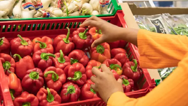 Initiatives et aides alimentaires